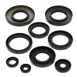 Vertex Engine Oil Seal Kit