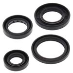 Vertex Engine Oil Seal Kit