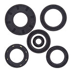 Vertex Engine Oil Seal Kit