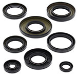 Vertex Engine Oil Seal Kit