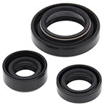 Vertex Engine Oil Seal Kit