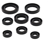 VERTEX ENGINE OIL SEAL KIT