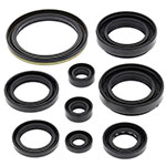 Vertex Engine Oil Seal Kit
