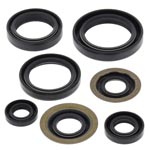 Vertex Engine Oil Seal Kit