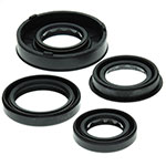 Vertex Engine Oil Seal Kit