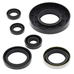 Vertex Engine Oil Seal Kit