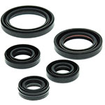 Vertex Engine Oil Seal Kit