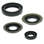 Vertex Engine Oil Seal Kit