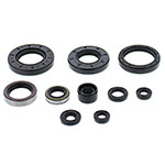 Vertex Engine Oil Seal Kit