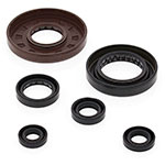 Vertex Engine Oil Seal Kit