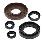 Vertex Engine Oil Seal Kit