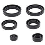 Vertex Engine Oil Seal Kit