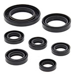 Vertex Engine Oil Seal Kit
