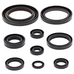 Vertex Engine Oil Seal Kit