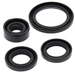 Vertex Engine Oil Seal Kit