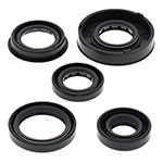 Vertex Engine Oil Seal Kit