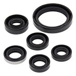Vertex Engine Oil Seal Kit