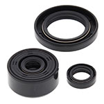 Vertex Engine Oil Seal Kit