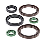 Vertex Engine Oil Seal Kit