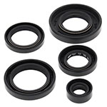 Vertex Engine Oil Seal Kit