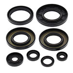 Vertex Engine Oil Seal Kit