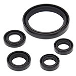 Vertex Engine Oil Seal Kit