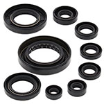 Vertex Engine Oil Seal Kit