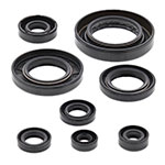Vertex Engine Oil Seal Kit
