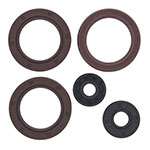 Vertex Engine Oil Seal Kit