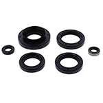 Vertex Engine Oil Seal Kit