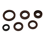 Vertex Engine Oil Seal Kit