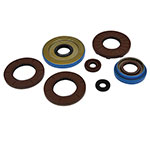Vertex Engine Oil Seal Kit