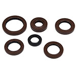 Vertex Engine Oil Seal Kit