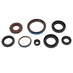 Vertex Engine Oil Seal Kit