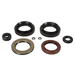 Vertex Engine Oil Seal Kit
