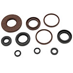 Vertex Engine Oil Seal Kit