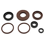 Vertex Engine Oil Seal Kit