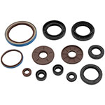 Vertex Engine Oil Seal Kit