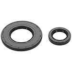 Vertex Engine Oil Seal Kit