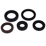 Vertex Engine Oil Seal Kit