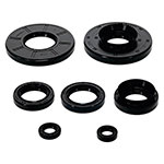 Vertex Engine Oil Seal Kit