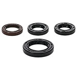 Vertex Engine Oil Seal Kit