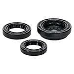 Vertex Engine Oil Seal Kit