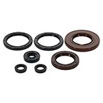 Vertex Engine Oil Seal Kit
