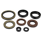 Vertex Engine Oil Seal Kit