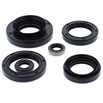 Vertex Engine Oil Seal Kit