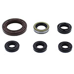 Vertex Engine Oil Seal Kit