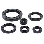 Vertex Engine Oil Seal Kit