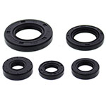 Vertex Engine Oil Seal Kit