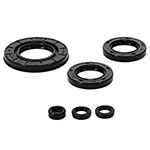 Vertex Engine Oil Seal Kit